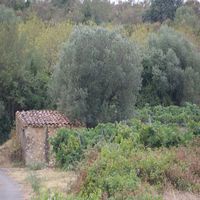 Photo de france - La randonnée des balcons d'Alignan-du-Vent